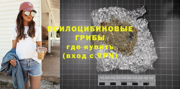 PSILOCYBIN Бородино