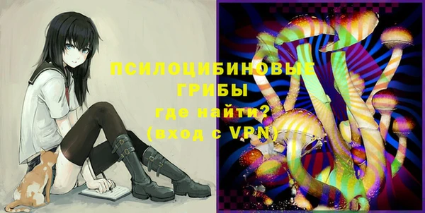 PSILOCYBIN Бородино