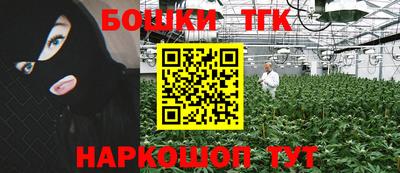тгк Славгород