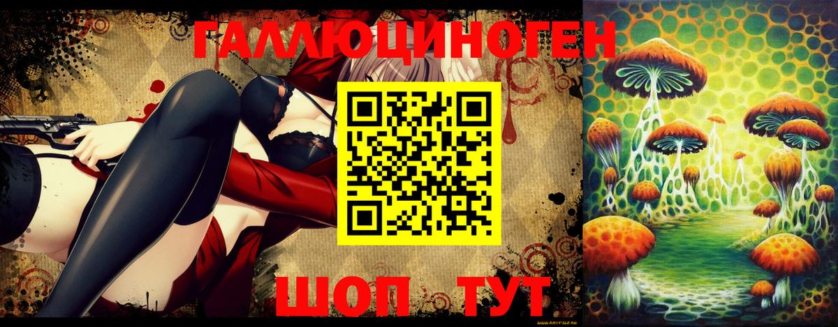 Галлюциногенные грибы Psilocybine cubensis  Вход с VPN  Реж 