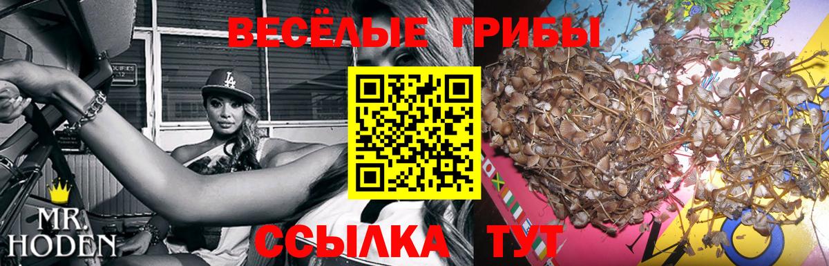 Псилоцибиновые грибы мухоморы Реж